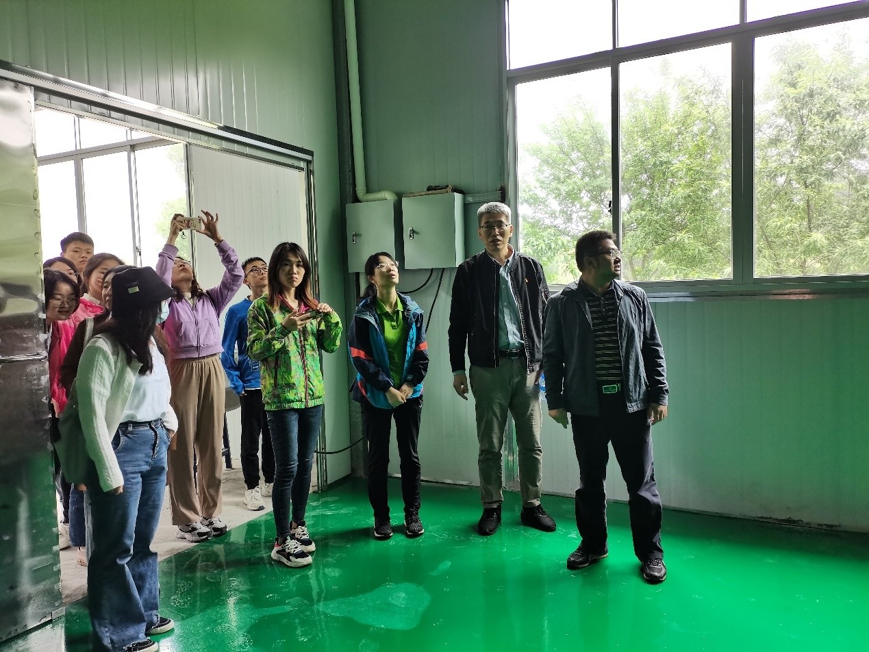 图像正在加载中