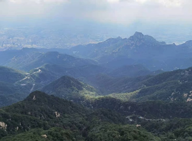 image-20210808182503-10