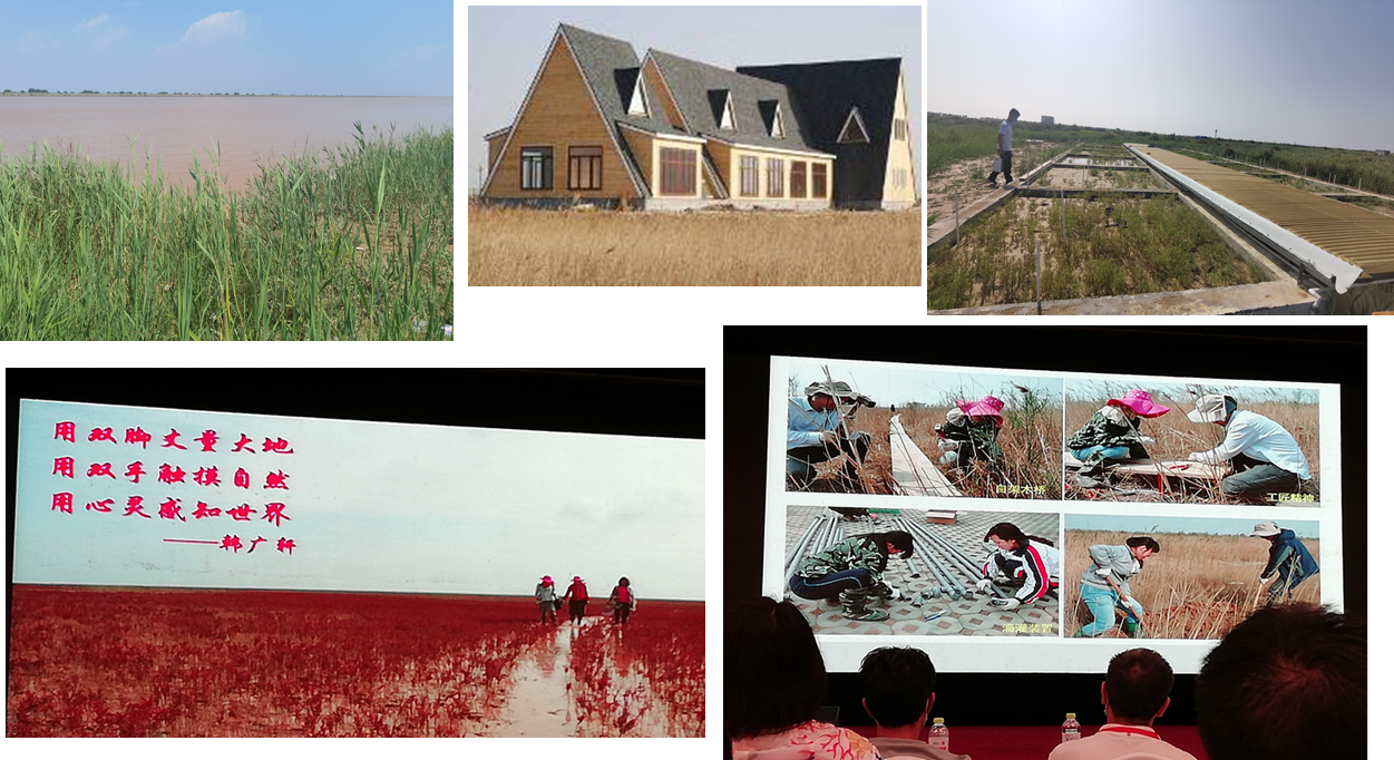 image-20210808182503-7