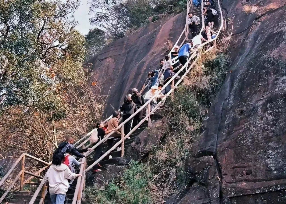 image-20231211230210-13