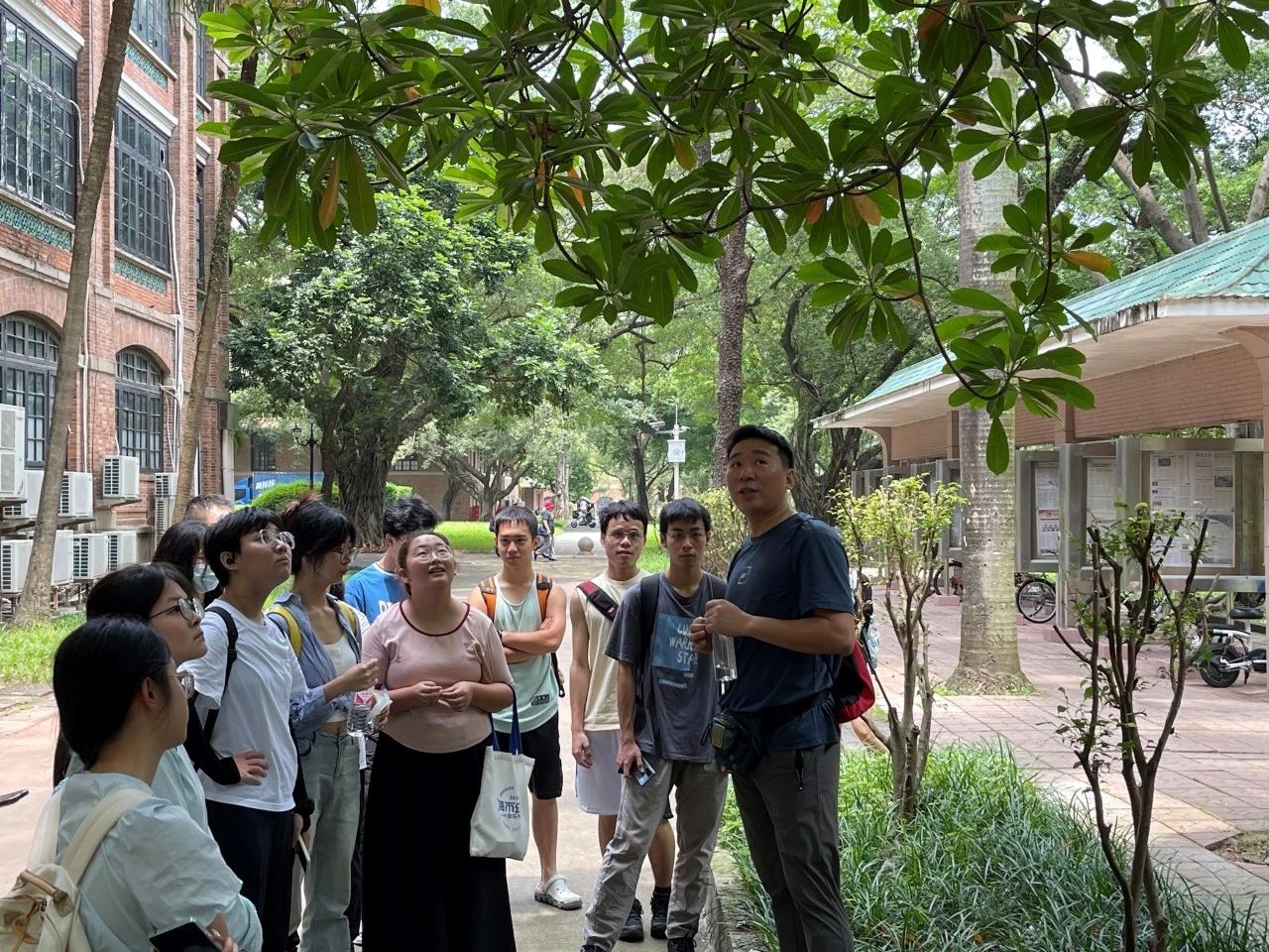 image-20240617211143-2