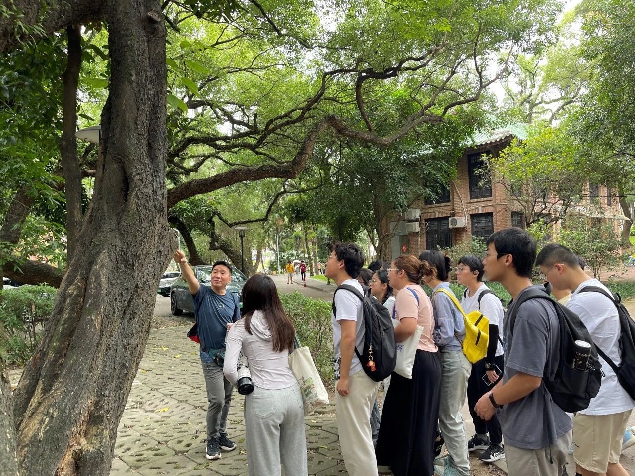 image-20240617211204-3