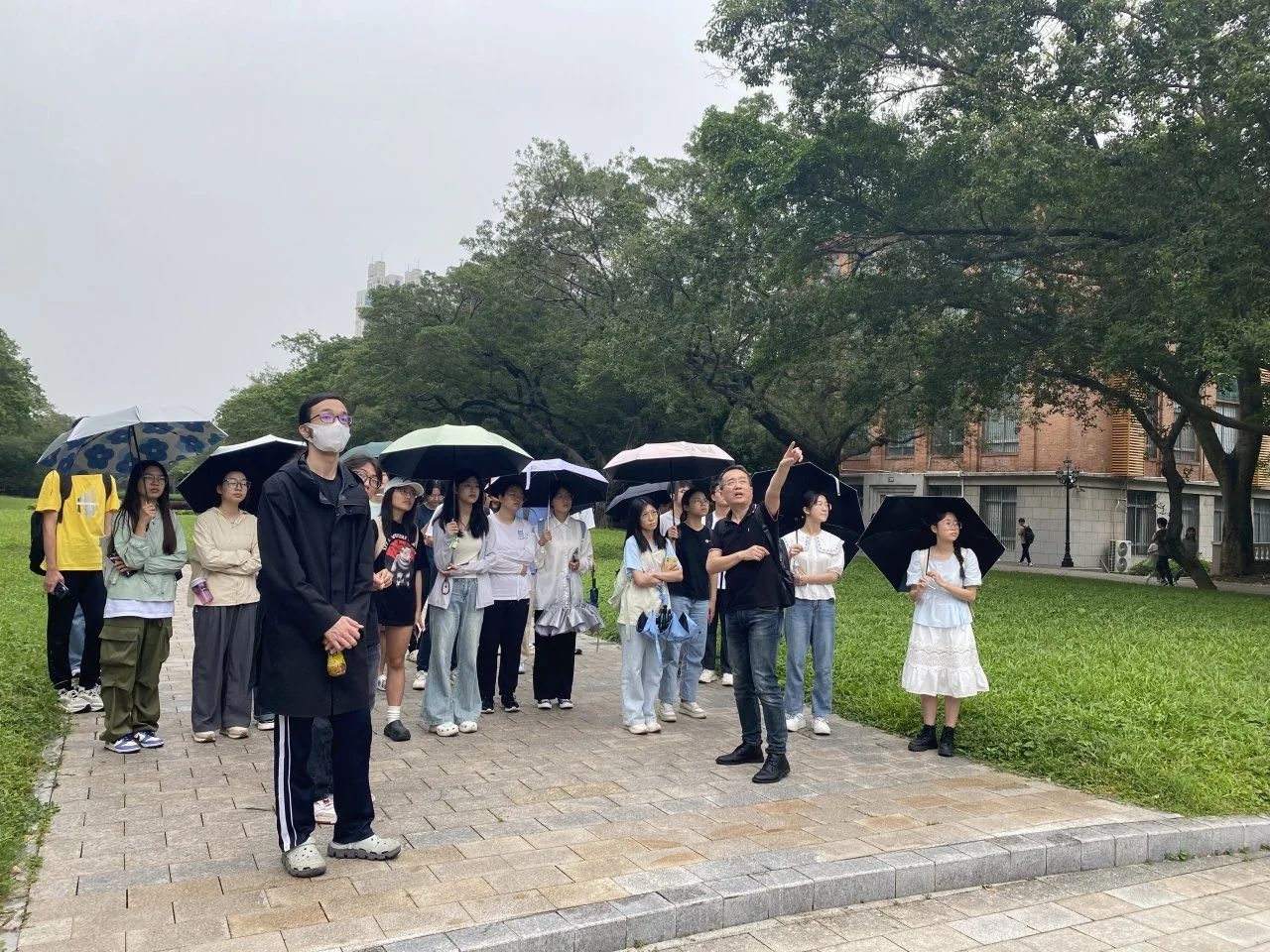 image-20240617211415-8