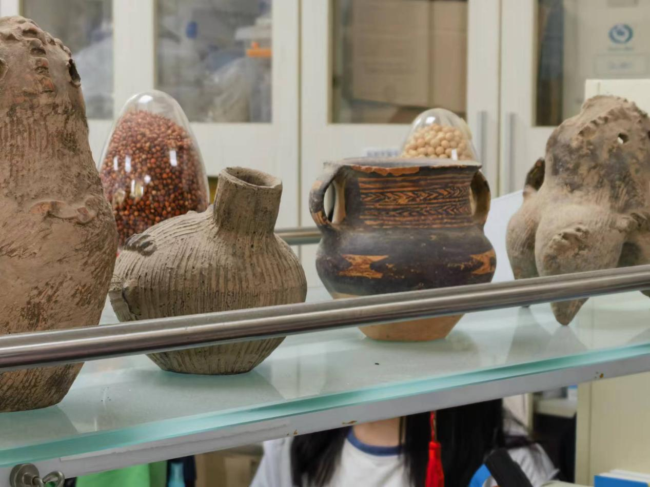 image-20240909193848-6