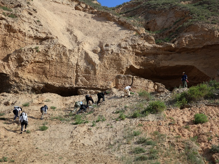 image-20240909202142-9