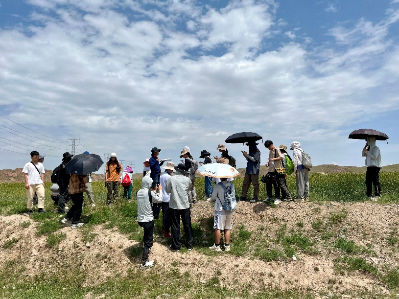 image-20240909202319-12