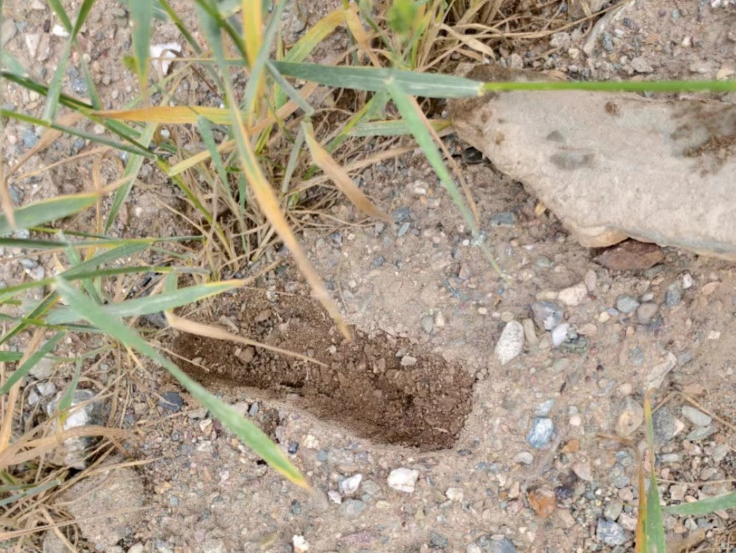 image-20240909202359-14