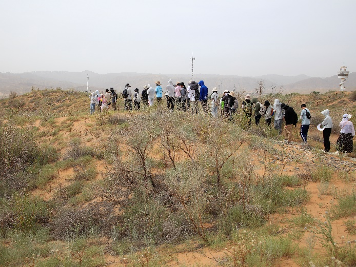 image-20240909202515-16