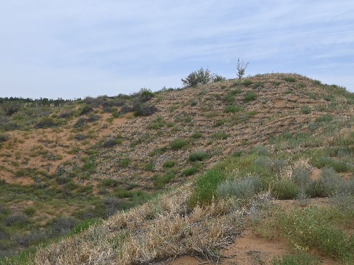 image-20240909202615-18