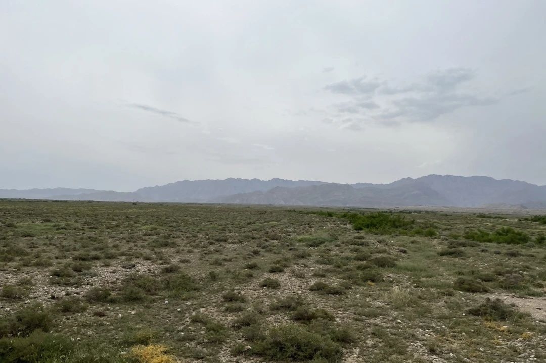 image-20240909202858-22