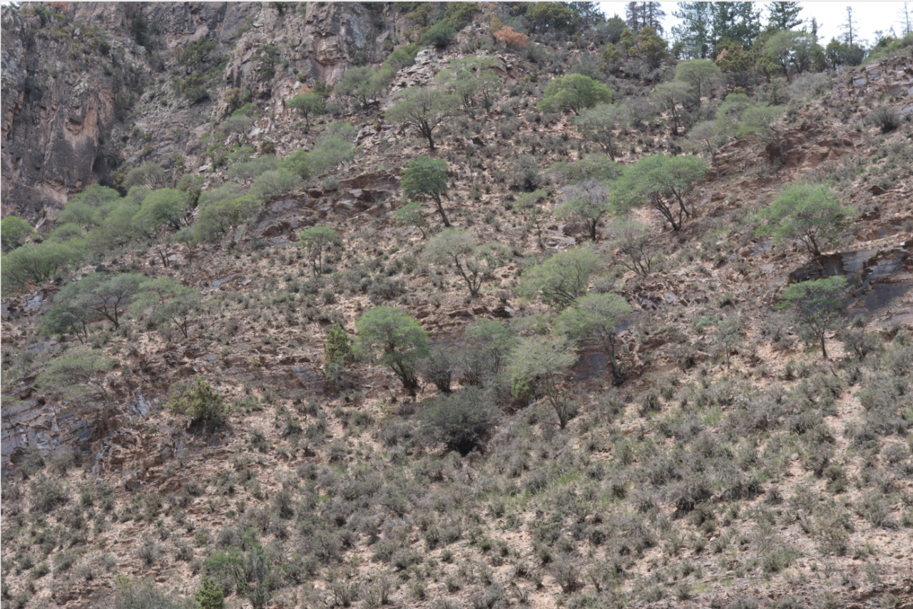 image-20240909202920-23