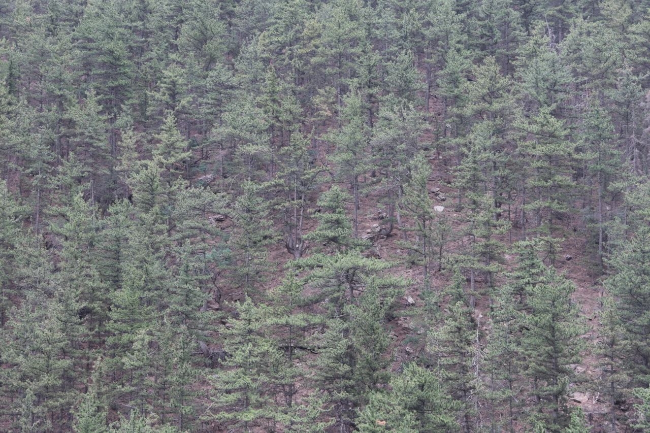 image-20240909202954-24