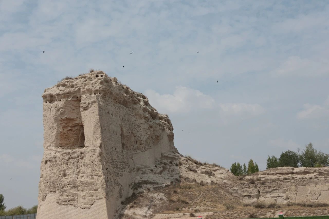 image-20240909203138-26