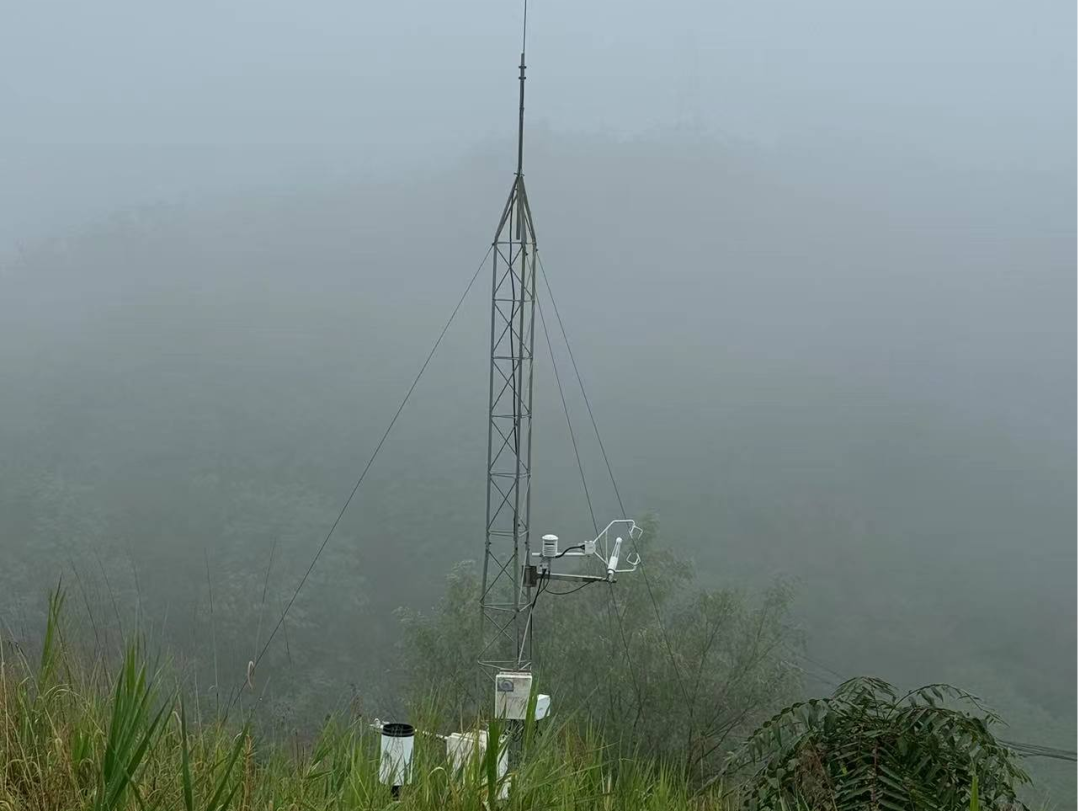 image-20240909203339-29