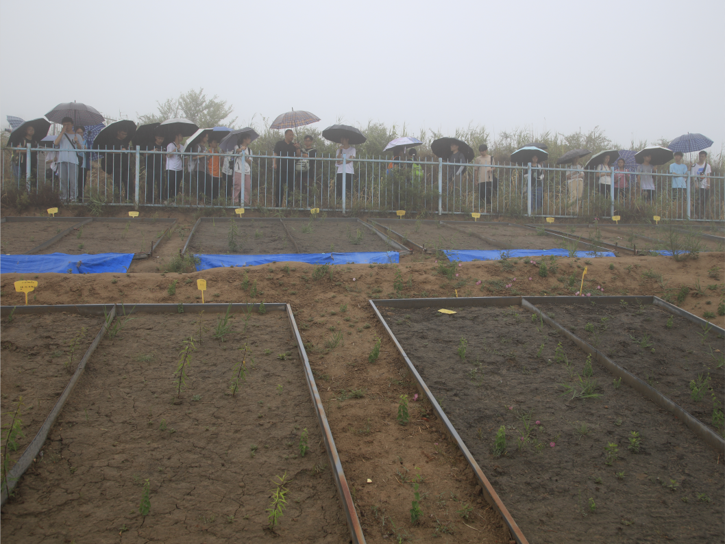 image-20240909203412-30