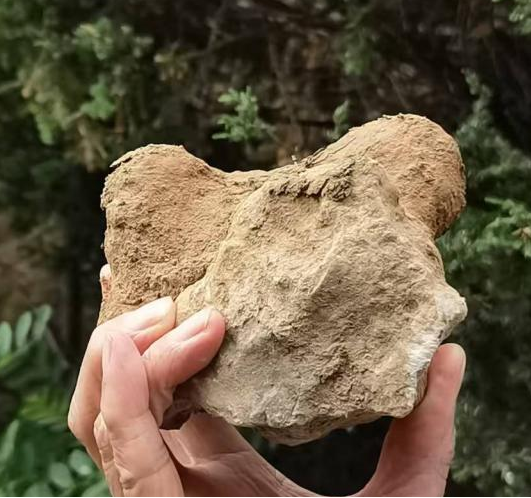 image-20240909203542-33