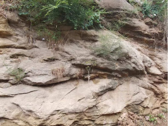 image-20240909203659-36