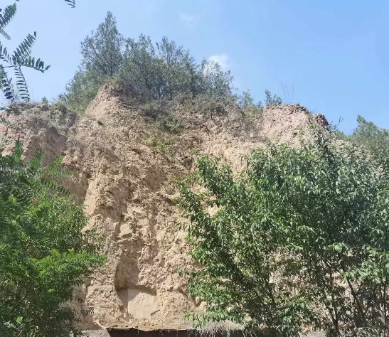 image-20240909203717-37