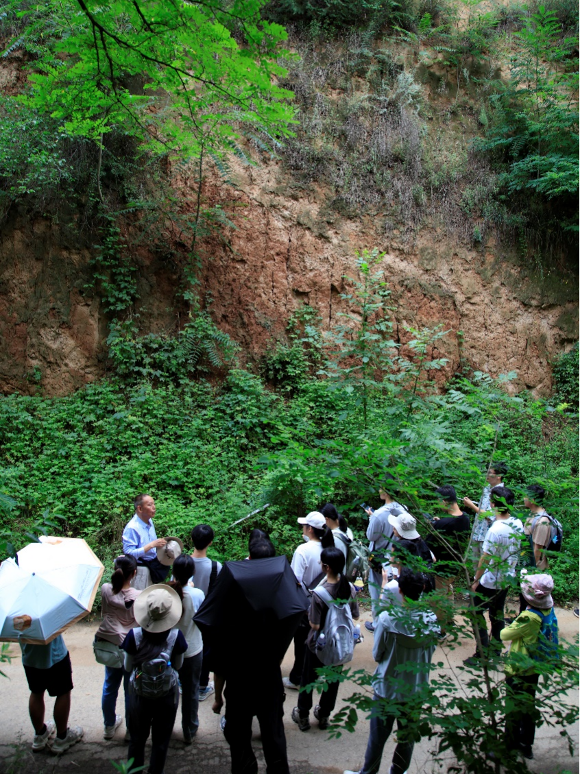 image-20240909204804-44