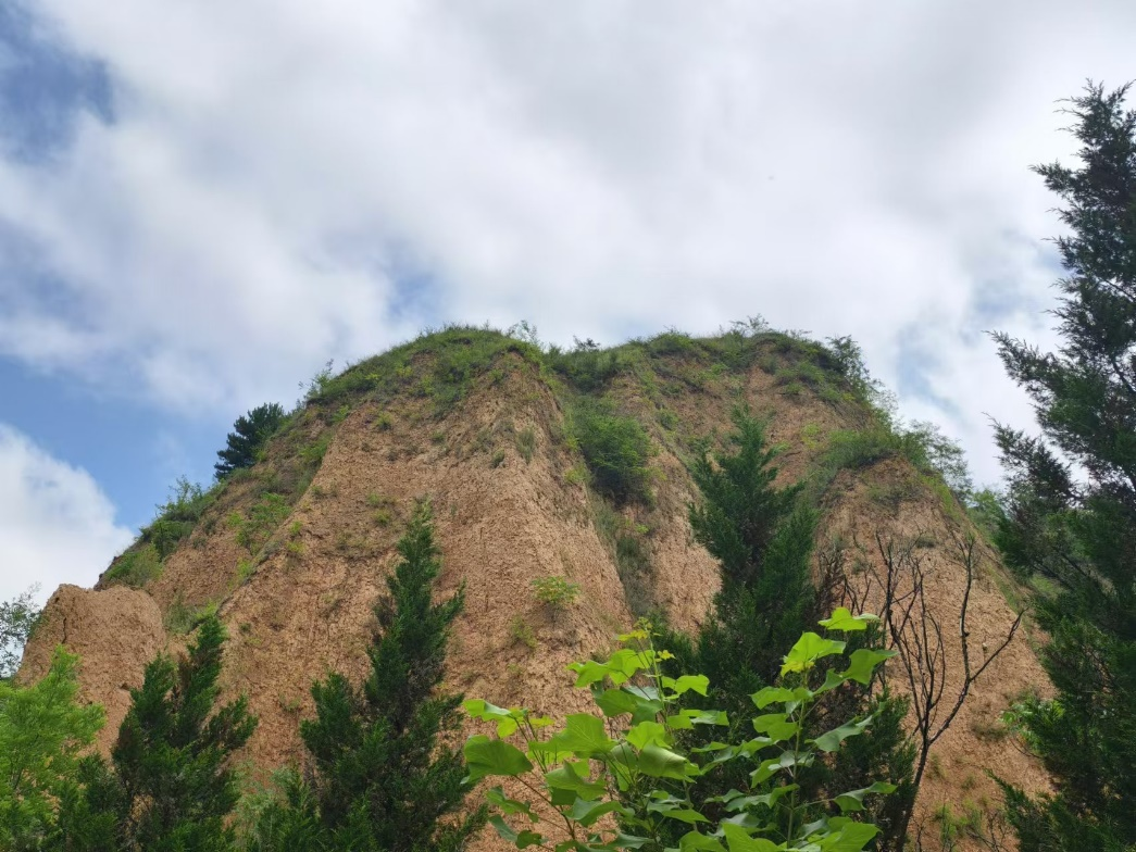 image-20240909204814-45