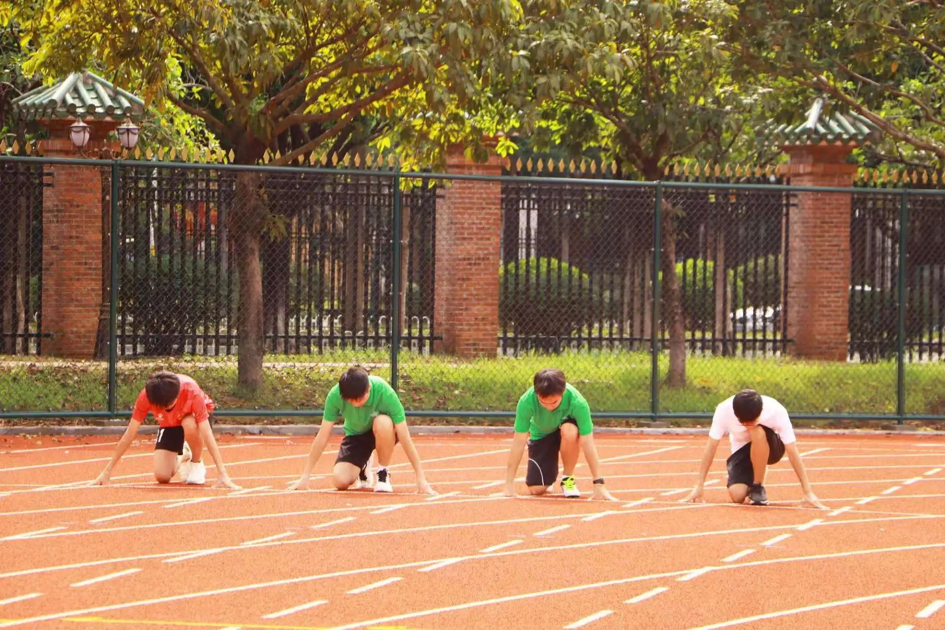 image-20241117201527-17