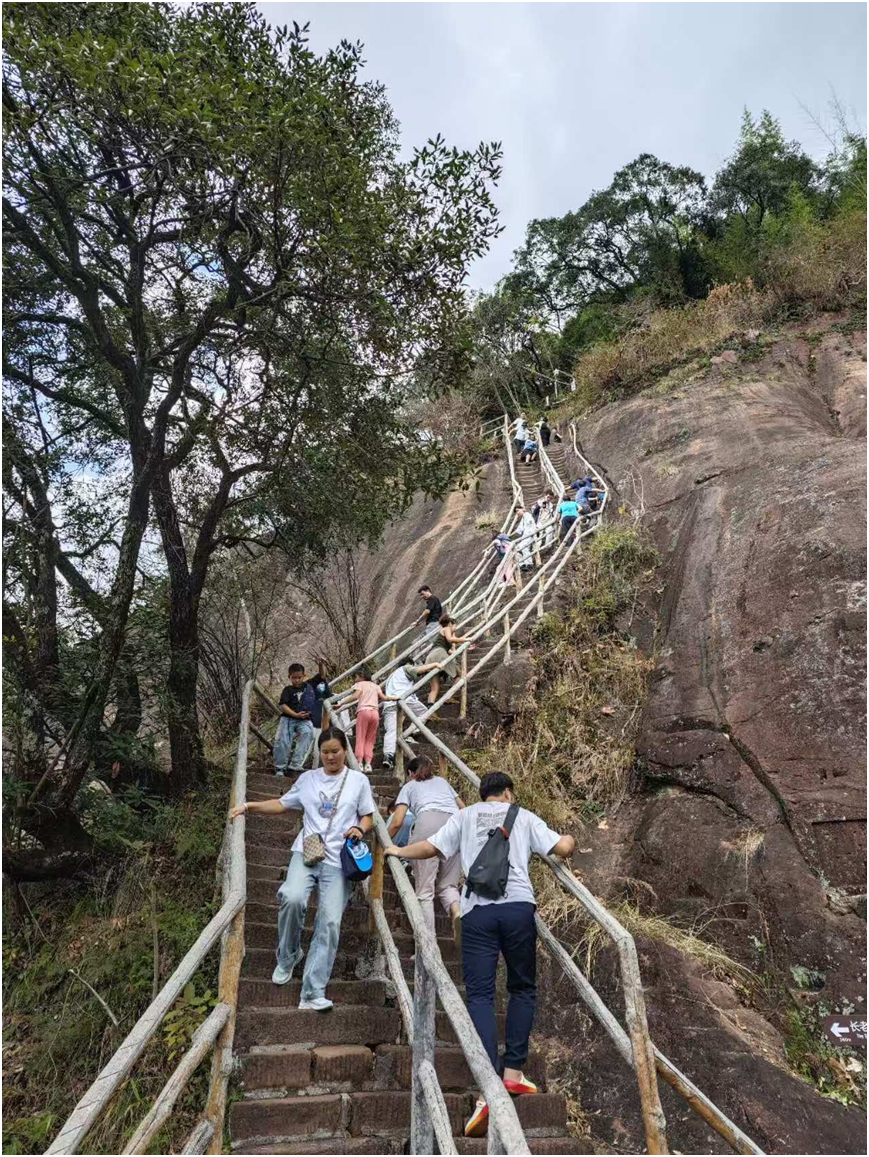 image-20241129180430-8