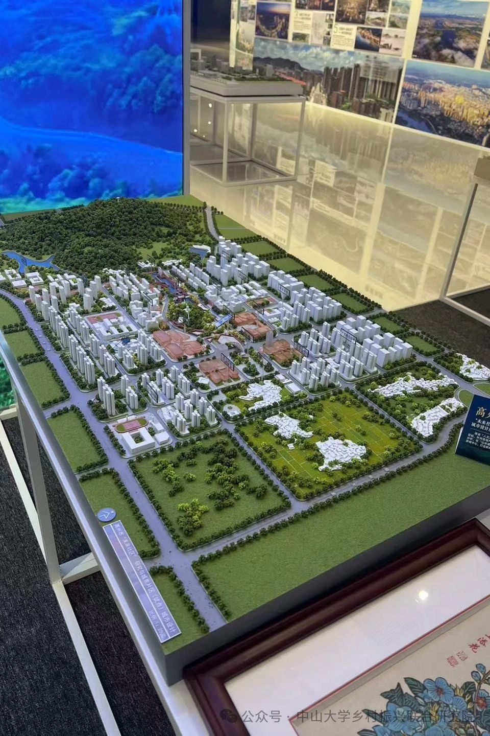 image-20241202220231-2