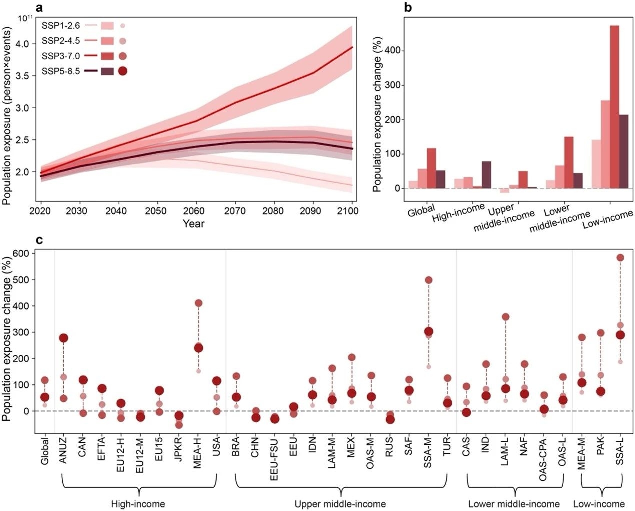 image-20250527002837-3